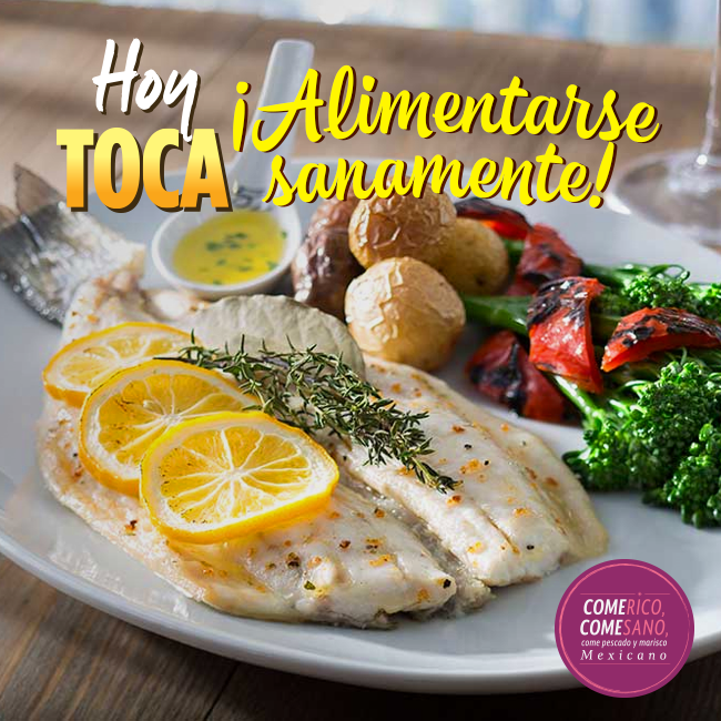 hoytocan's tweet photo. No te pierdas nuevas recetas cada semana.

#HoyTocan #RedesSociales  
@Conapesca @SAGARPA_mx https://t.co/71F5LkYXgQ