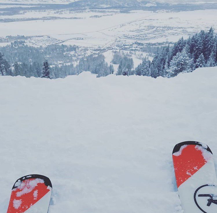 gofishtourism's tweet photo. The travel bug hits our team hard โ๏ธย Looks like someone is having fun in @jhski, Wyoming! ๐ค#digibunch #devagabonding #jacksonhole https://t.co/0Yp81kLu8H