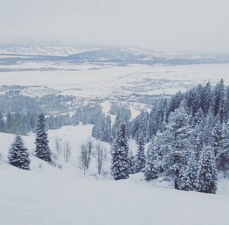 gofishtourism's tweet photo. The travel bug hits our team hard โ๏ธย Looks like someone is having fun in @jhski, Wyoming! ๐ค#digibunch #devagabonding #jacksonhole https://t.co/0Yp81kLu8H