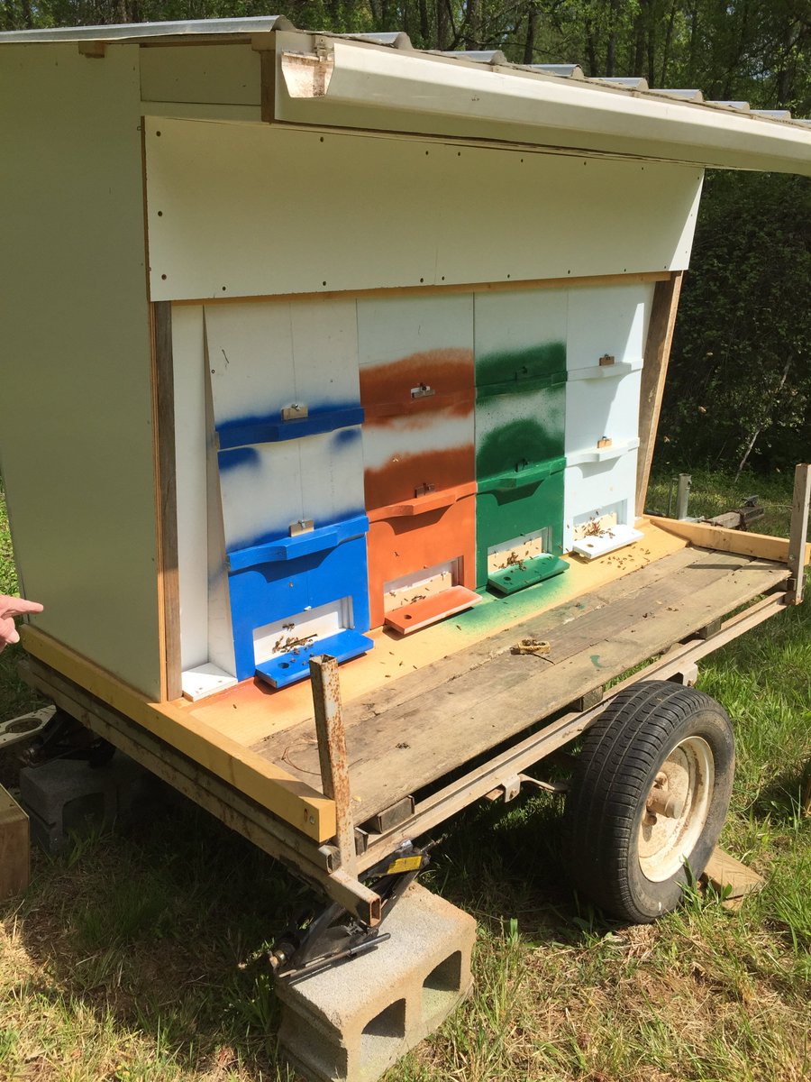 Our Uncle Don's #BeeTrailer... the options are endless when deciding how to house your #DrebbievilleHive 
#Beekeeping #AZhive #Beehive