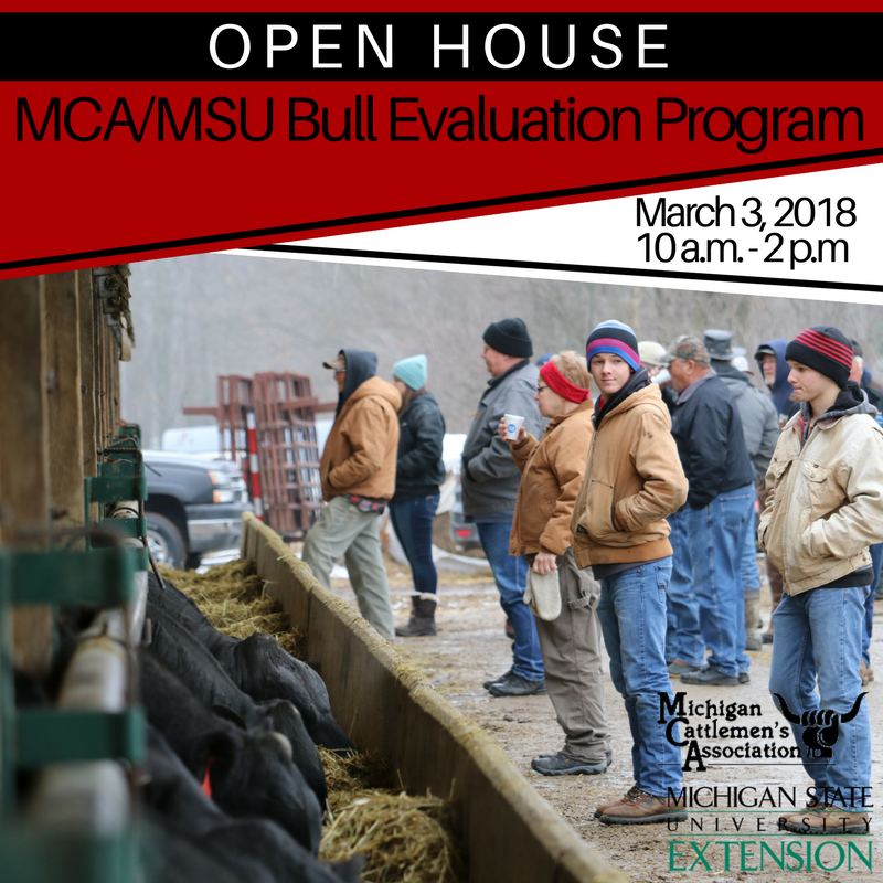 MICattlemen's tweet photo. The MCA/MSU #BullEvaluationProgram open house is 4 days away! Retweet if you are ready to see some good herd bulls from 10 a.m. - 2 p.m. this Saturday, March 3 at Plank Farms, 375 Mt. Hope Rd., Crystal, MI 48818. Learn more: https://t.co/LNG1SVmloH. https://t.co/67ozbpGwfi