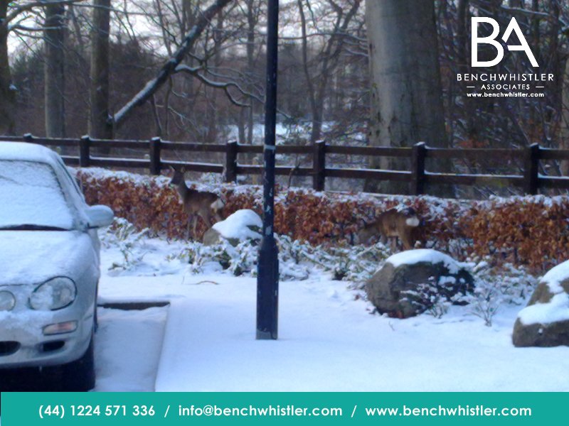 Even when they are right in front of you some things are not immediately obvious. Manage your business by being alert   benchwhistler.com