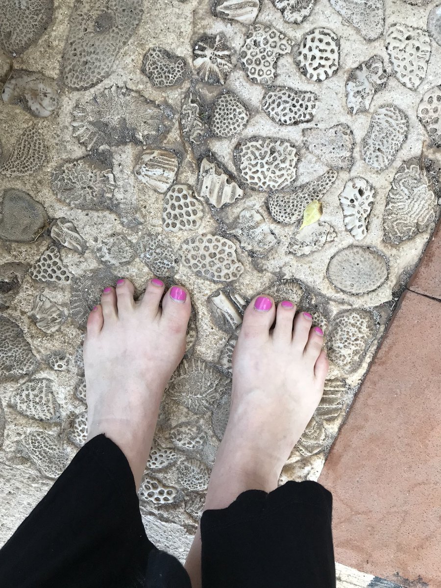 bebodywerx's tweet image. Week at the beach gives me tons of texture for my happy feet. We get the beach gives me tons of texture for my happy feet.#barefoot #nutritiousmovement #footfixn #mobility