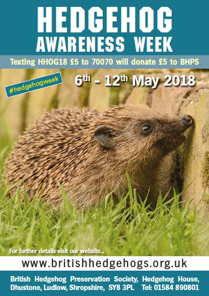 It will be #hedgehogweek before we know it! 6th - 12th May this year, find out more at britishhedgehogs.org.uk/hedgehog-aware…