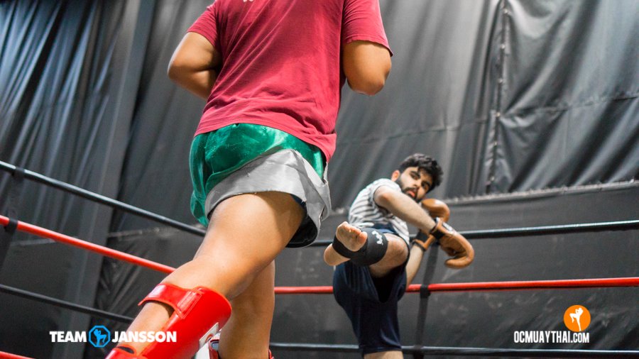 CampJansson's tweet photo. “Courage isn't having the strength to go on - it is going on when you don't have strength.” ― Napoléon Bonaparte
#muaythai #mma #strength #martialarts 1-949-444-4460 https://t.co/nXQyNkrQob https://t.co/pqisPvpLUc