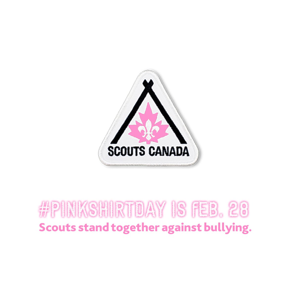 Scouts Canada tweet media