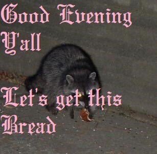 BlxndDevil's tweet photo. Hashtag when you go to communion https://t.co/kiboNYaXXj