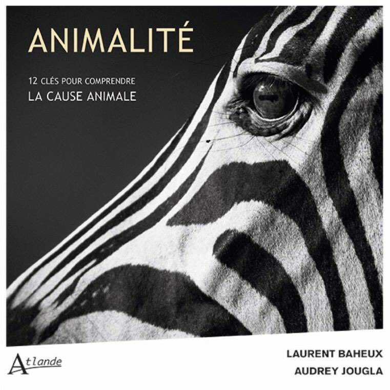 laurentbaheux's tweet photo. ANIMALITÉ, le livre : 12 clés pour comprendre la cause animale - @AudreyJougla &amp; @laurentbaheux - Justesse du texte et beauté de l’image pour s’interroger et se nourrir sur la cause animale en marge de la Journée Mondiale sans Viande  https://t.co/d0zkxp7s5V #droitanimal #vivant https://t.co/qzihDtZk0F