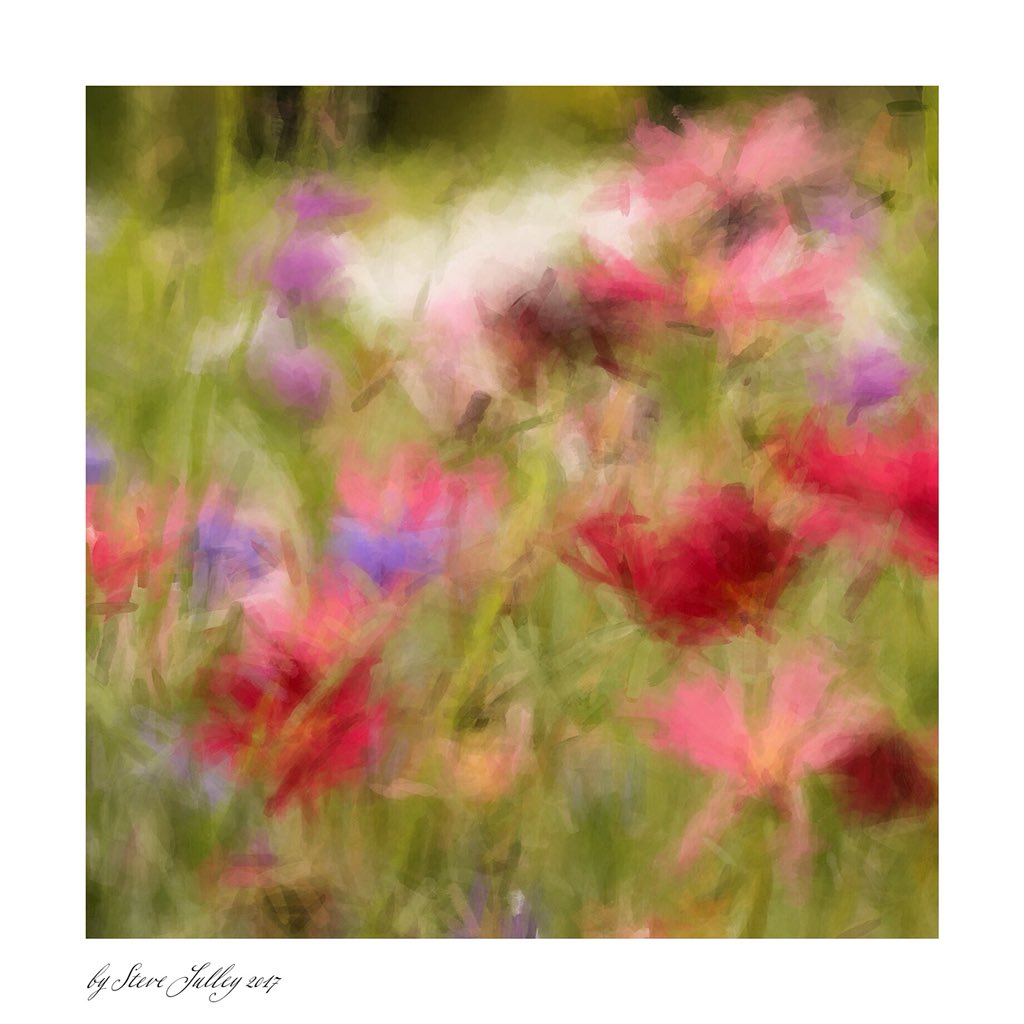 SteveSulley1's tweet photo. #fspg simply flowers https://t.co/mlBF7kddSl