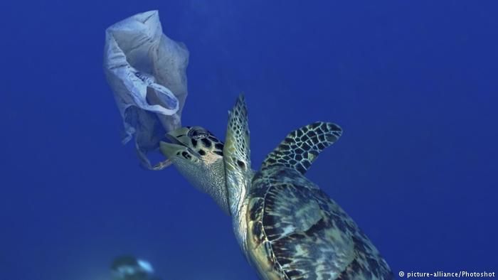 CAMINOSsinplastico tweet media