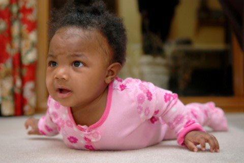 ZEROTOTHREE's tweet photo. Based on a new study, 3mo old #babies are capable of learning patterns! https://t.co/PkJMjnrQzD @NorthwesternU Learn how you can support healthy #braindevelopment here: https://t.co/Llm74swnqT https://t.co/qKLcFBJXU4