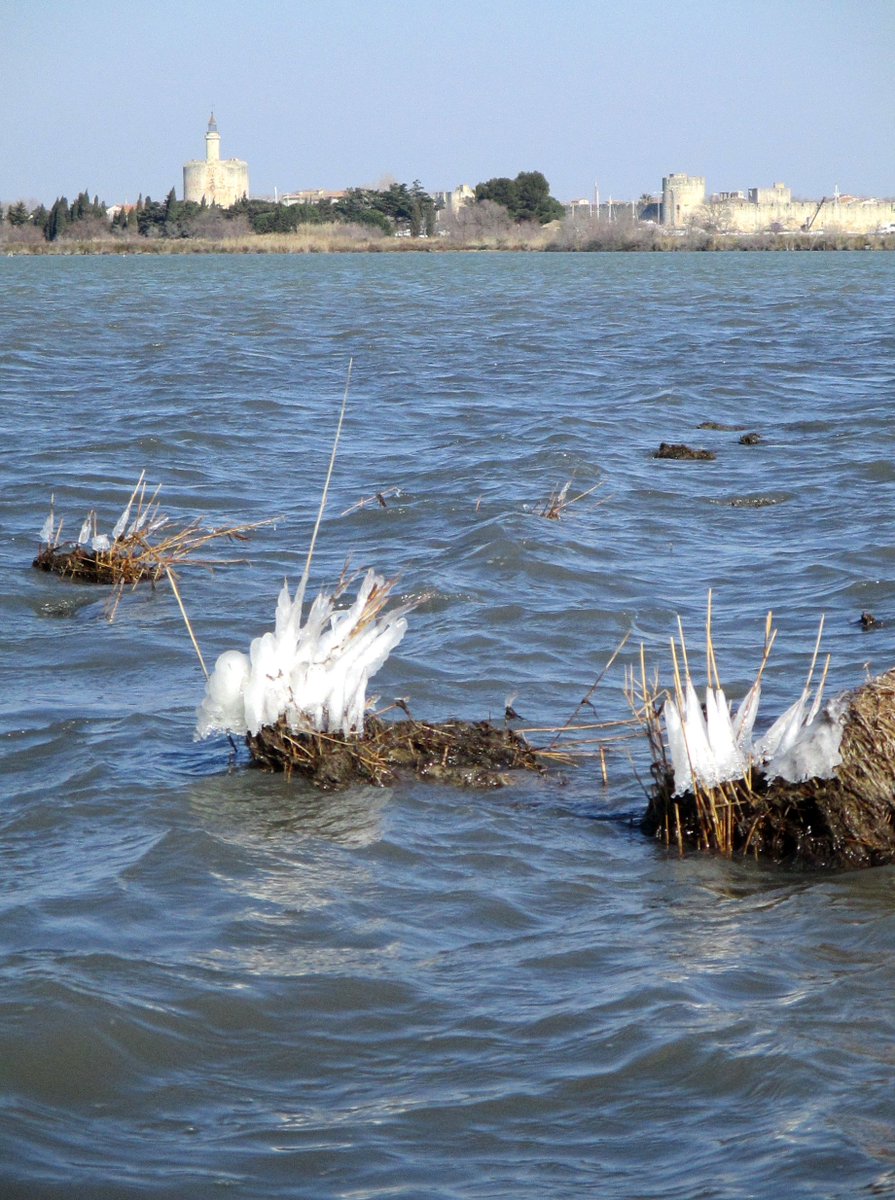 CamargueGardois's tweet photo. Transis mais heureux, les visiteurs de la Maison du @Grandsitedefrance @CamargueGardois ramène d'étonnants clichés de la glace qui chatouille les remparts d'@Aigues-Mortes! #froid #Glagla https://t.co/XVZxMMHik7