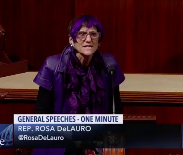 Freak Democrat Rosa DeLauro has purple hair on House floor