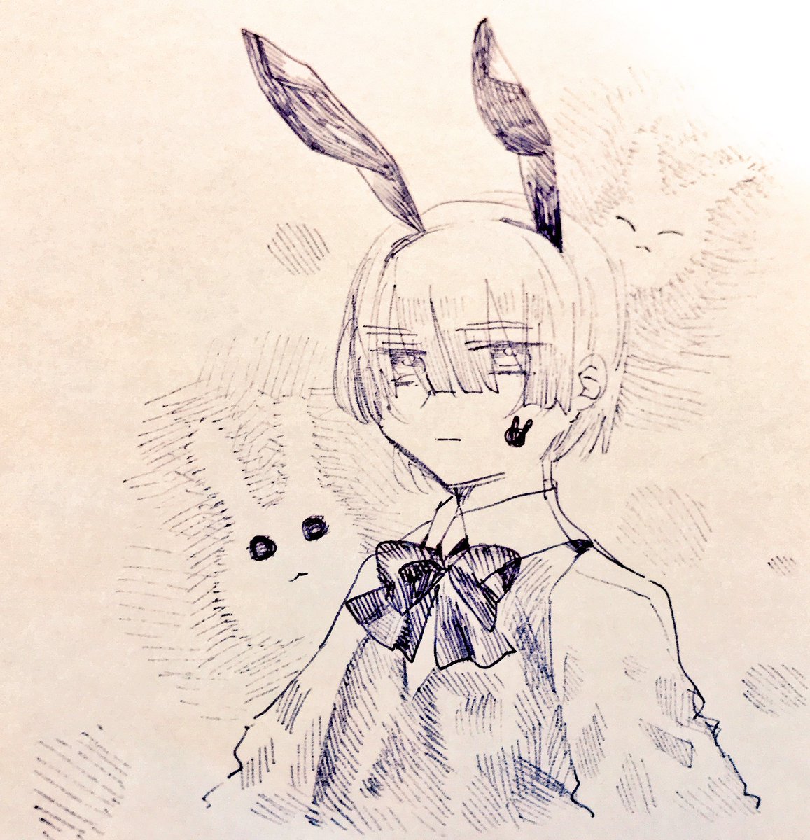🐇 