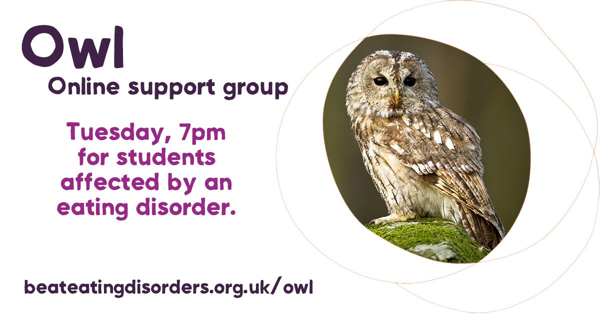 Our first #eatingdisorder support group for students runs later. Will you be there? beateatingdisorders.org.uk/owl #WhyWait #EDAW2018