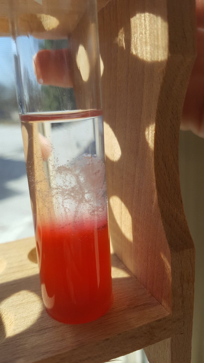 MrsFisher_Sci's tweet photo. #opsbio #opsedu #dnaextraction https://t.co/vIDxHQKKnP