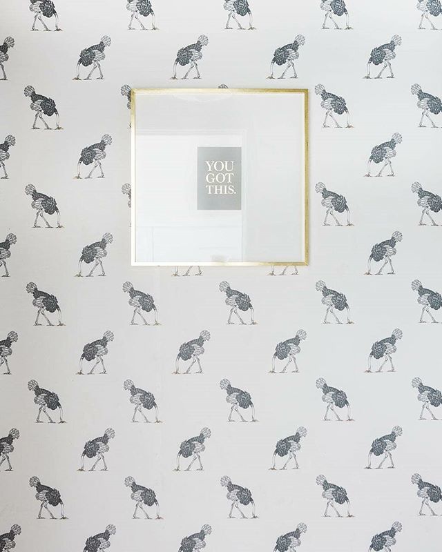 ThePatternColl's tweet photo. When Tuesday feels more like a Monday π #thepatterncollective #patternisbetter #modernwallpaper #headinthesand #ostrichwallpaper #bewarethemoon #interiorandhome #megmade #interiorsinspo #interiorsideas #interiordesigner #interiorstyle #interiordesign #homedecor #homestyle #hβ¦ https://t.co/mJDcsiZcnY