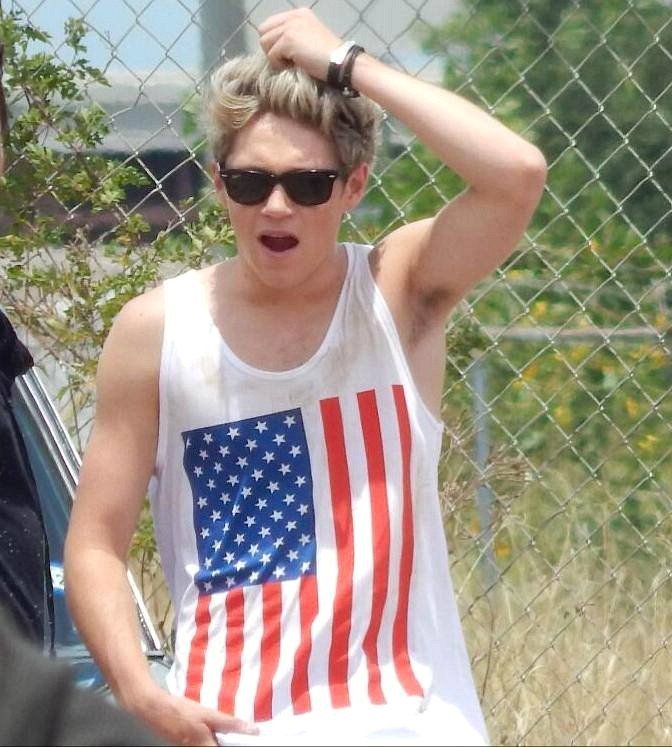 Emma_Fodor18's tweet photo. @NiallOfficial's #SlowHands for #BestLyrics! #iHeartAwards https://t.co/f4uqRPY4B1