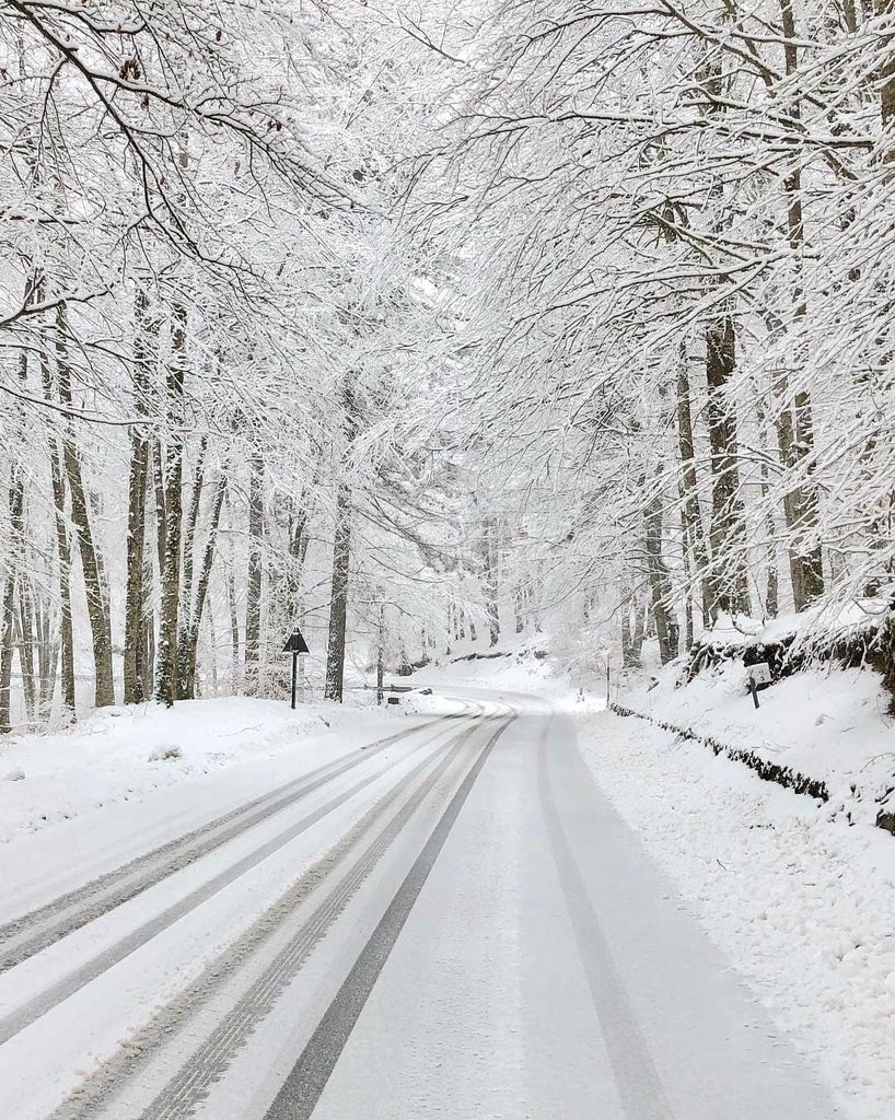 calabriaonline's tweet photo. #MiDescrivoBrevemente, mi chiamo Villaggio Mancuso, #Sila Piccola e sono nato in #Calabria, si avete capito bene non è solo mare. https://t.co/gchlfnMxg7