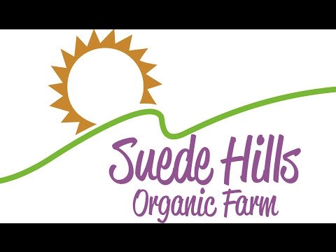 BestCancerSoltn's tweet photo. #Cancer Prevention Forum 2011 Suede Hills ... - VIDEO-> https://t.co/vvHJll0JuF
#8020Rule #Acid #AcidAlkalineLevel #AcidicBody #Alkaline #AlkalineBody #AlkalineDiet #PreventCancer #PreventSickness #RawVeganDiet #StayHealthy #SuedeHillsOrganicFarm #VeganDiet #YouTubeEditor https://t.co/S4FoR0rLnf