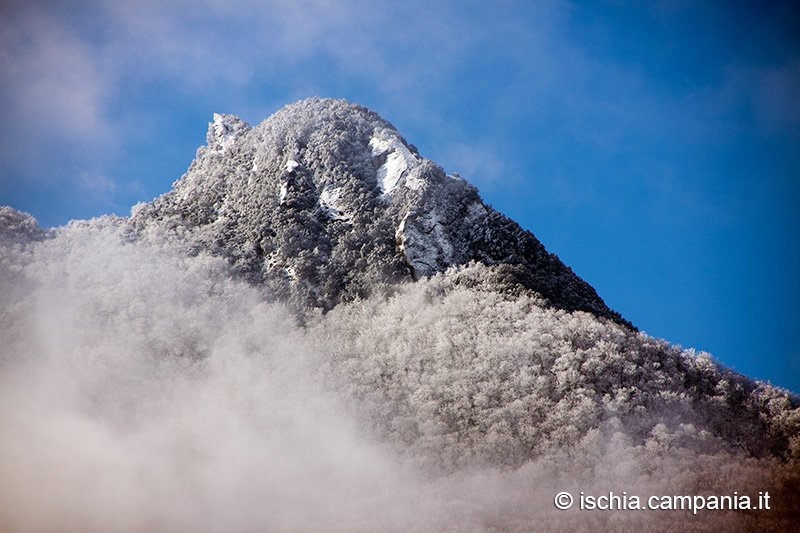 ischialand's tweet photo. #Ischia lo #spettacolo della #neve https://t.co/Xy7FkqltK8 #Burian #GolfodiNapoli #ArcipelagoFlegreo #IsoladIschia #nevicata https://t.co/t5uT1wyU7Q
