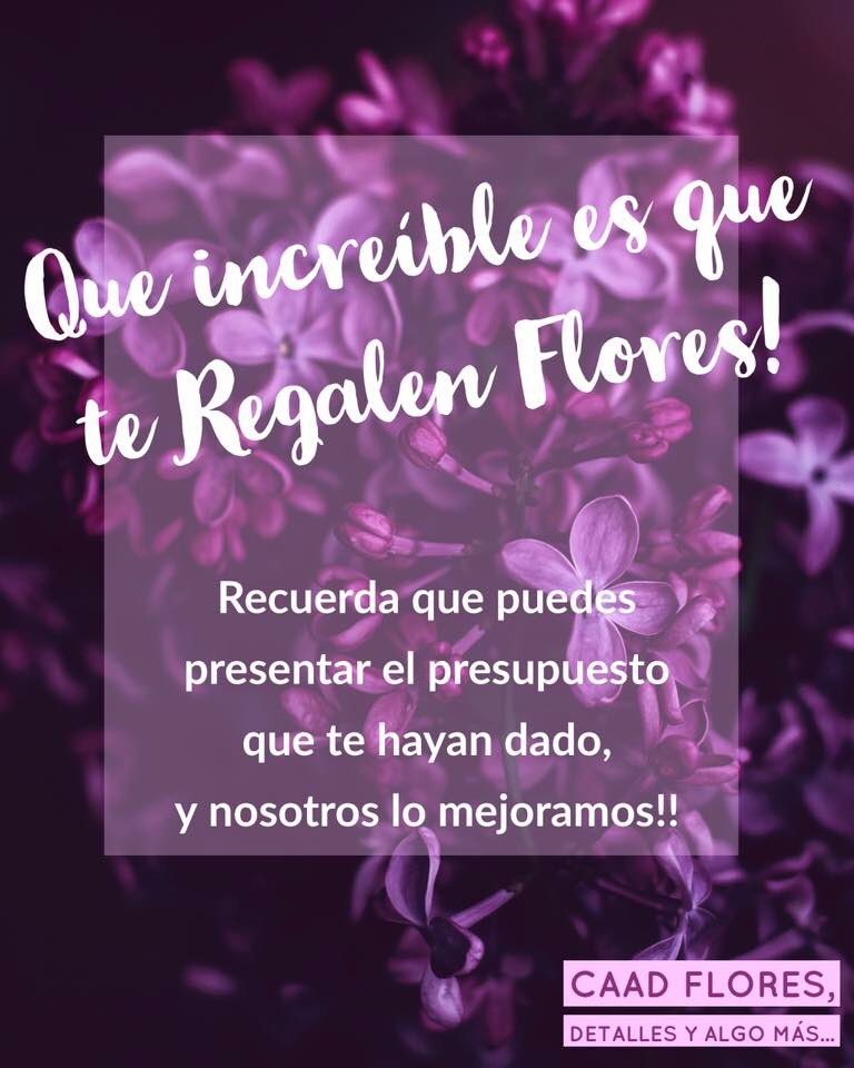 CaadFlores's tweet photo. Envíanos tu presupuesto o cotización sin ningún compromiso!. 
Lo puedes hacer mandándonos un mensaje o al mail: caadflores@gmail.com 

#florería #caadflores #presupuesto #cotización #flores https://t.co/H4oeL7SGPn