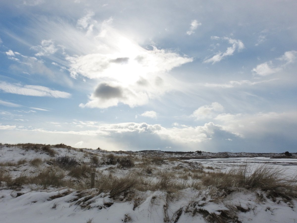 Op #Terschelling #Wadden ligt een mooi pak #sneeuw.