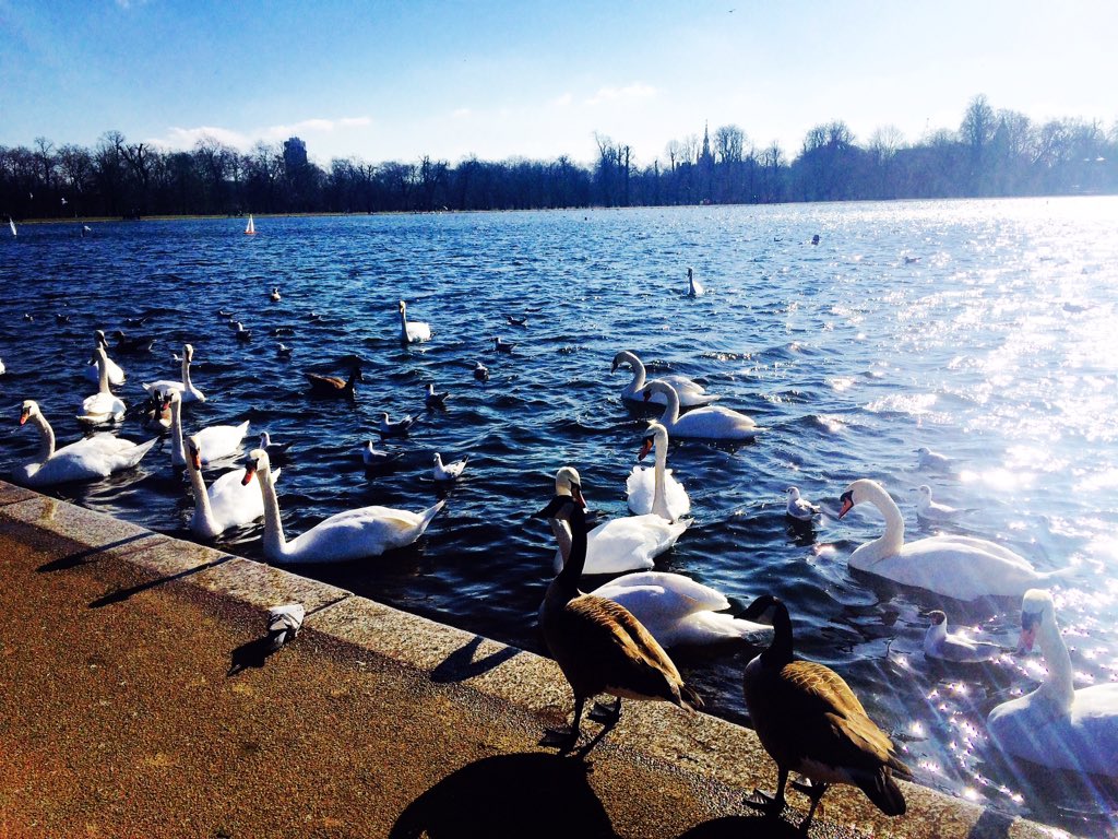 nataliya_lang's tweet photo. It's very cold in London - the best time to watch some musicals https://t.co/prOot5P7VZ