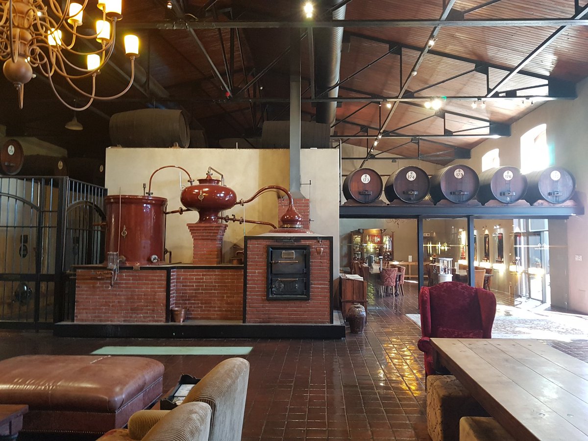 LoveGrappa's tweet photo. Taken a slight detour off the #wineroute @HatchMansfield @kleine_zalze @TravelingWinoke #vanryn #brandy https://t.co/S0YezvNK0i