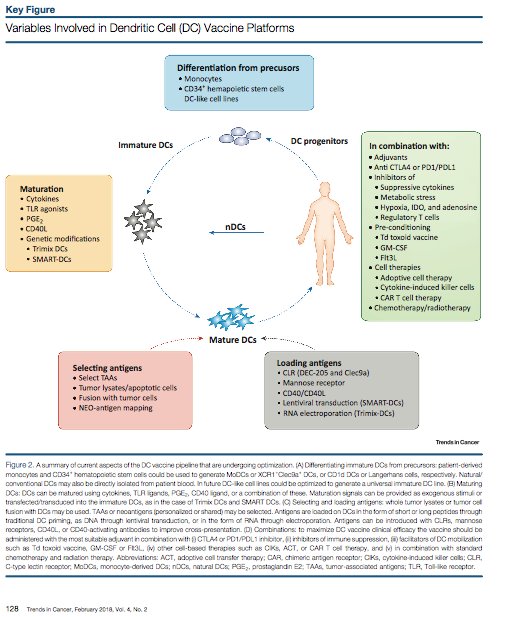 So excited for our Review, Re-emergence of Dendritic Cell Vaccines for Cancer Treatment. #PriismImmunology, #SinaiImmunology, #CellPress 
authors.elsevier.com/a/1Wa6J8Z12y89…