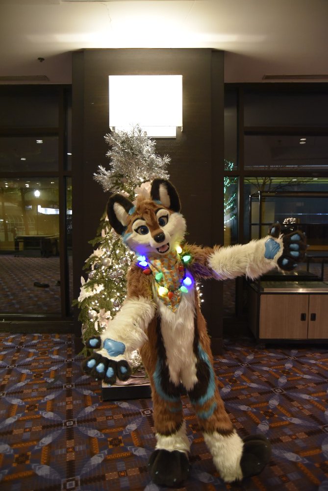 Epsole_The_Folf's tweet photo. @RivaloWolf Hugs for all! #MFF17 https://t.co/3zY6Z7SYa0
