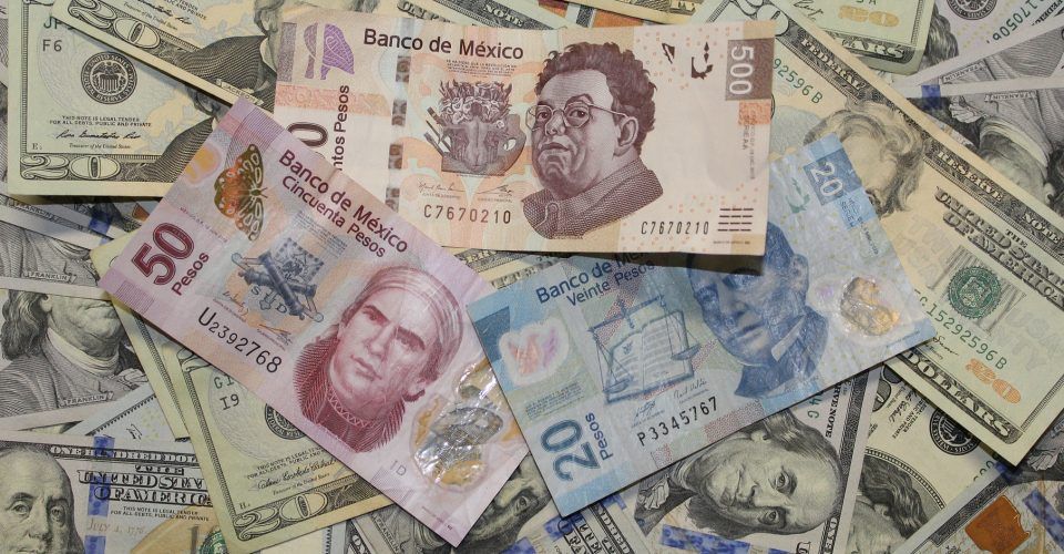 Pajaropolitico's tweet photo. Los recursos del ramo 23 son utilizados por el gobierno federal para premiar y castigar a los estados: @mexevalua https://t.co/lobcfKwBFU https://t.co/gfOWLGFXxD