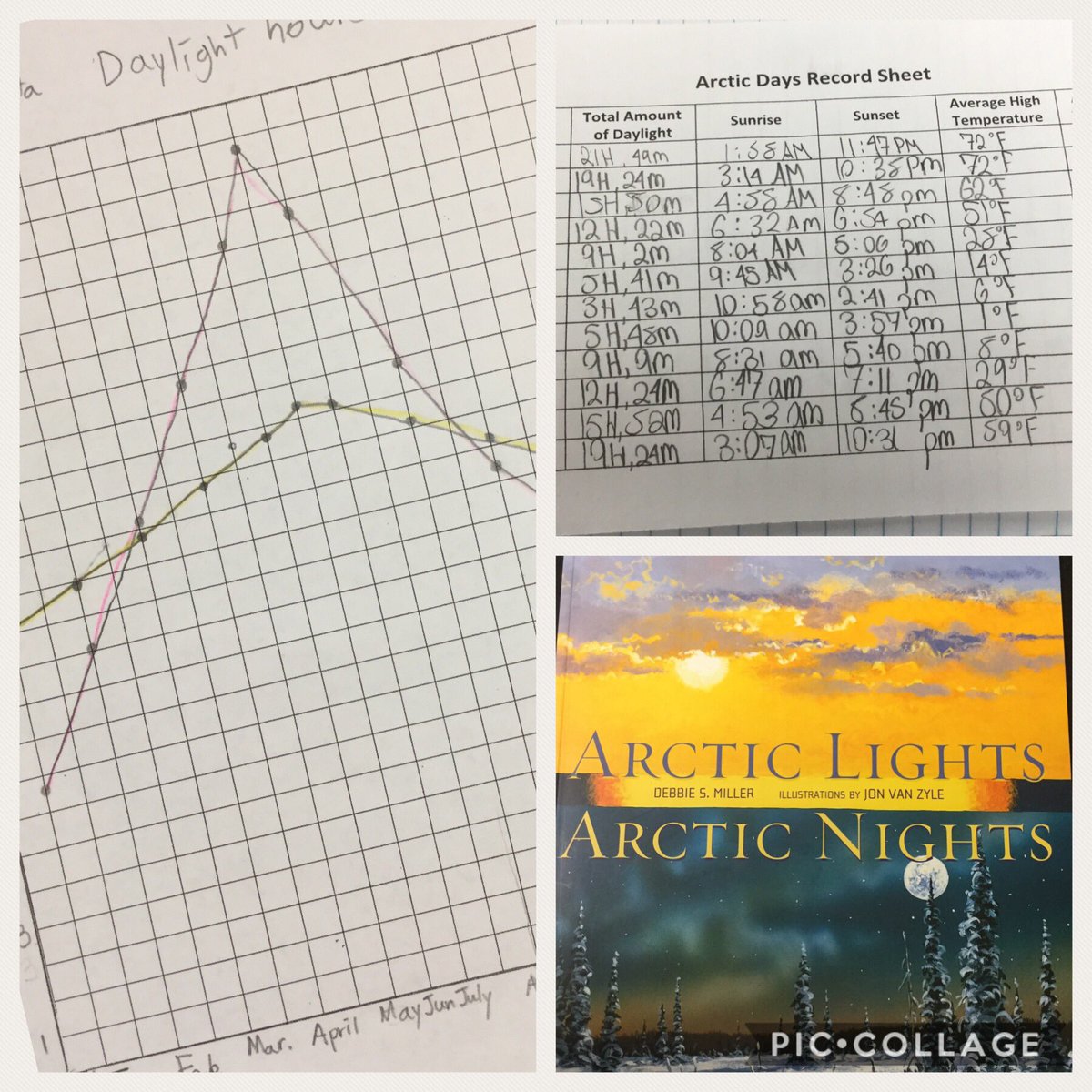 MrsBPaul's tweet photo. I love when science class can combine story time and graphing! #ammslions #lionscience https://t.co/wgZjpxmiZb