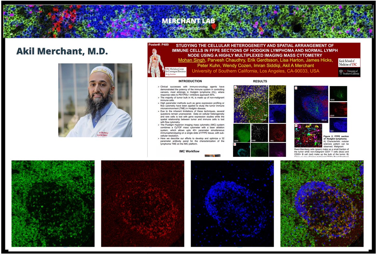 download azospirillum vi and related microorganisms genetics physiology