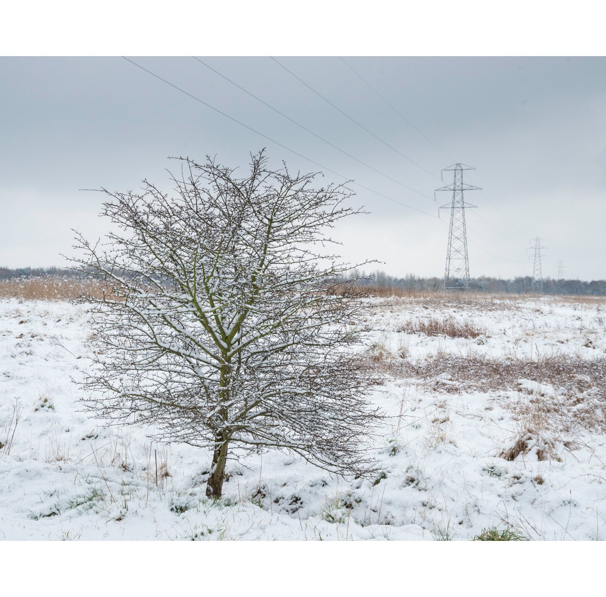 McCoyWynne's tweet photo. Rimrose Valley Country Park this morning. Rimrose Valley very much still under threat from a new dual-carriageway #rimrosevalleyfriends #rimrose #merseyside #seftoncouncil #billesterson #peterdowd https://t.co/FZTmdYqGmn