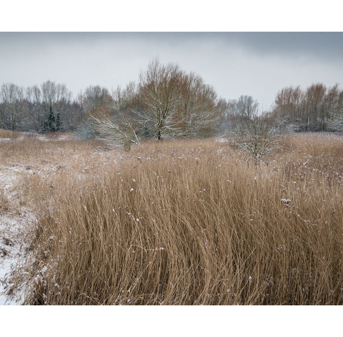 McCoyWynne's tweet photo. Rimrose Valley Country Park this morning. Rimrose Valley very much still under threat from a new dual-carriageway #rimrosevalleyfriends #rimrose #merseyside #seftoncouncil #billesterson #peterdowd https://t.co/FZTmdYqGmn