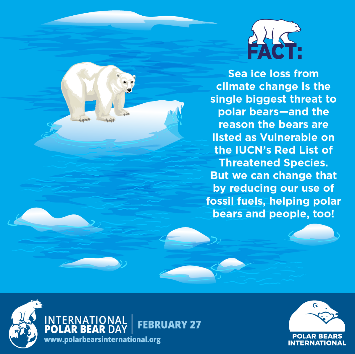 Mange bruger hale The Toronto Zoo on Twitter: "Polar bears are listed as vulnerable on the IUCN's  Red List due to climate change and the melting of sea ice. Sea ice is  crucial to polar
