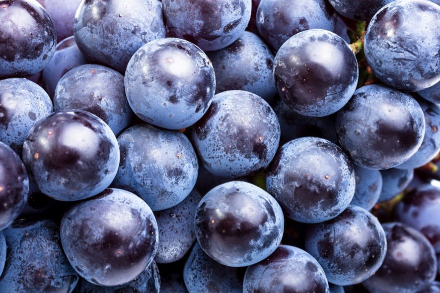 – UVA GARNACHA – Una uva altamente versátil.
bit.ly/2FA3P9s