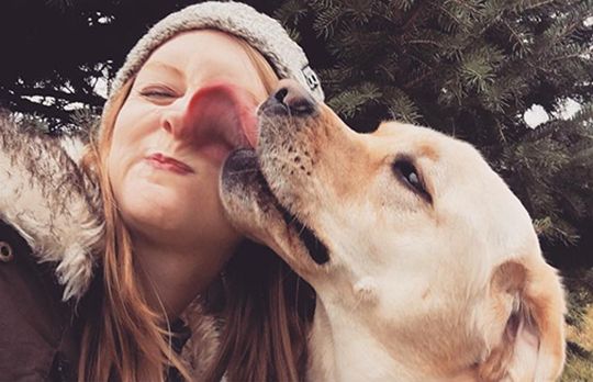 CanineCCC's tweet photo. Have you ever wondered why your dog licks your face?
https://t.co/TKWdLUvvFB
#dogdaycare #dogdaycarenh #dogdaycarelife #tuckeredoutdogdaycare #tuckeredoutdogs #beautifulday #dogsofinstagram #playallday #barringtonnh #fallinnewhampshire #tuckeredout #tuckeredoutiskennelfree https://t.co/u191muSjyU