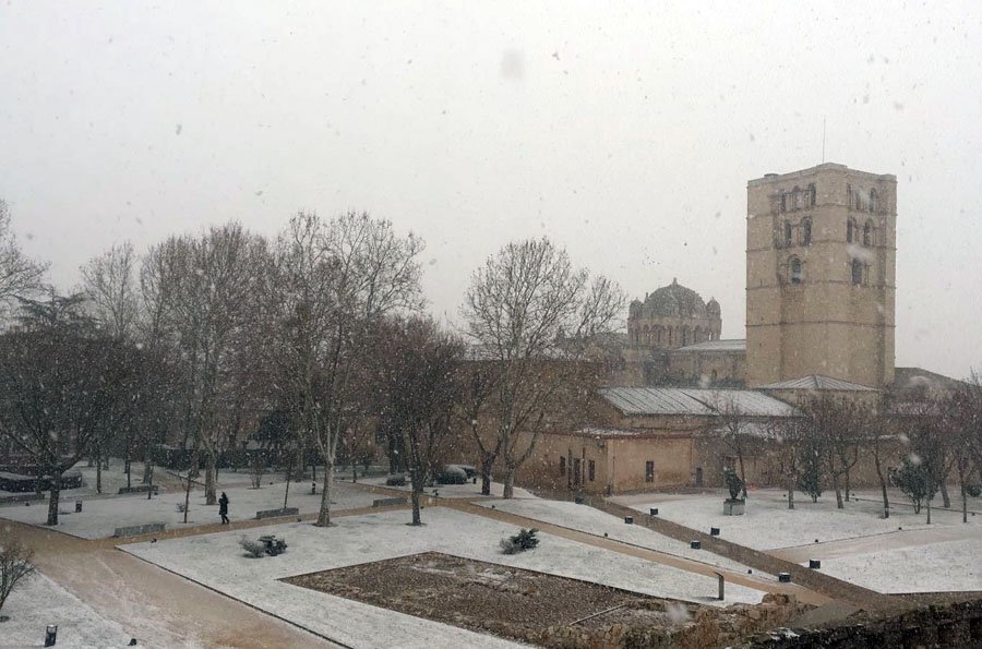Zamora24horas's tweet photo. Galería 📸 | Las primeras imágenes de la nevada en la capital zamorana https://t.co/BGvkmDgeYQ https://t.co/cOVe8fCar4