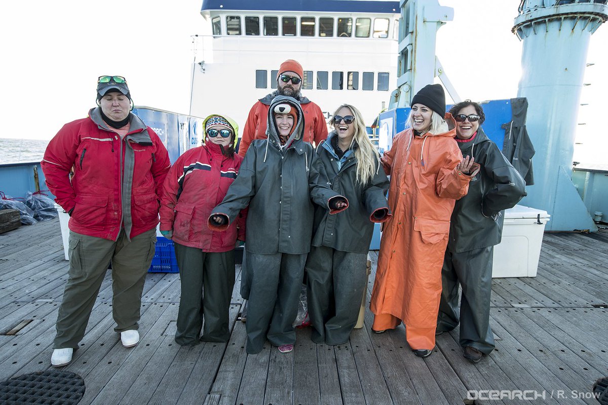JacksonvilleU's tweet photo. Because life on the sea is hard... Students and faculty from JU's Marine Science Research Institute were part of the 1st @OCEARCH expedition of 2018. https://t.co/e4yCsMLYnh