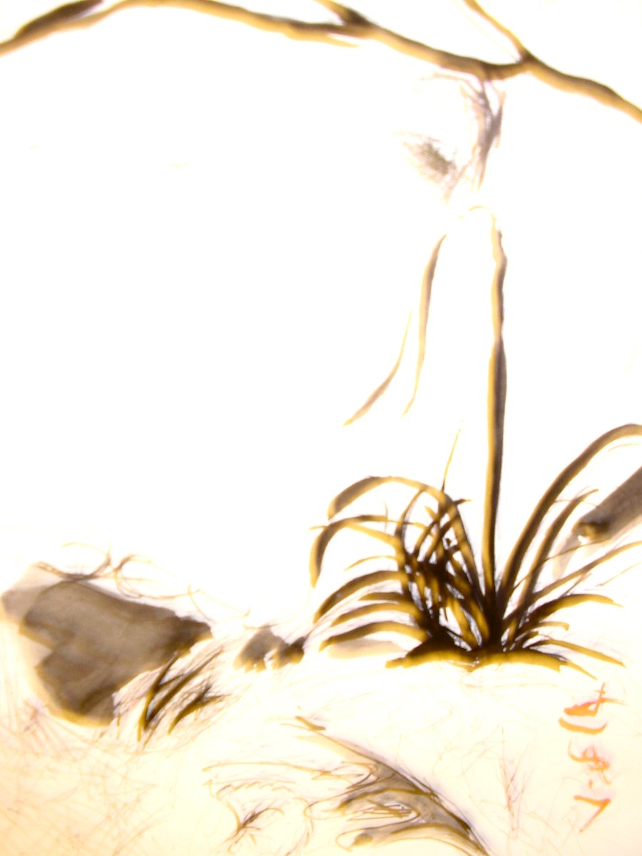 ClanMorrisonArt's tweet image. first spring, Sumi-e &amp;amp; ink ,11"x14," $50,to order email me at MatthewMorrison76@gmail.com #sumie #firstspring #springcoming