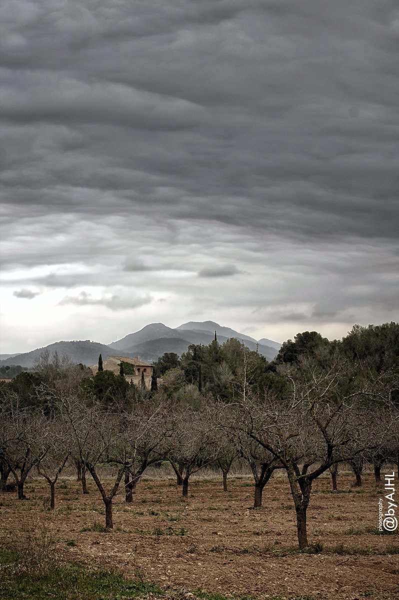byAJHL's tweet image. El Montmell #montmell #muntanyesdecatalunya #catalonianmountains #mountains #raconsdecatalunya #catalunyaexperience #descobreixcatalunya #naturelovers #naturephotography #landscapephotography #landscape #pentax #trees #clouds #nubes #storm #rain #tarragona #altcamp #paisajes