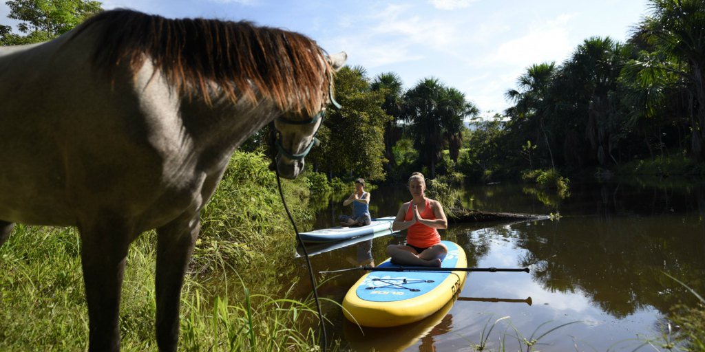 Roxy Genier tweet media