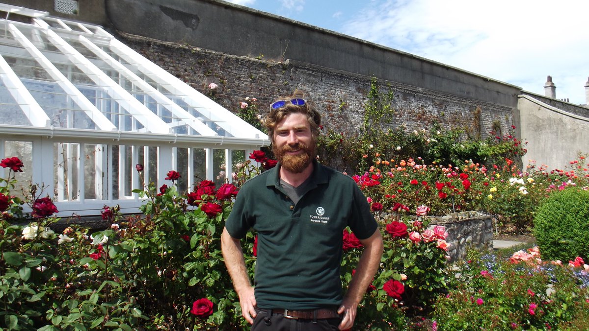 thepowerscourt's tweet photo. .@EcoEye is in the Garden with our Head Gardener, Alex Slazenger. Tune in tonight @RTEOne 7pm! #powerscourt #estate #gardening #ecoeye #mywicklow https://t.co/JzHErPwPyY