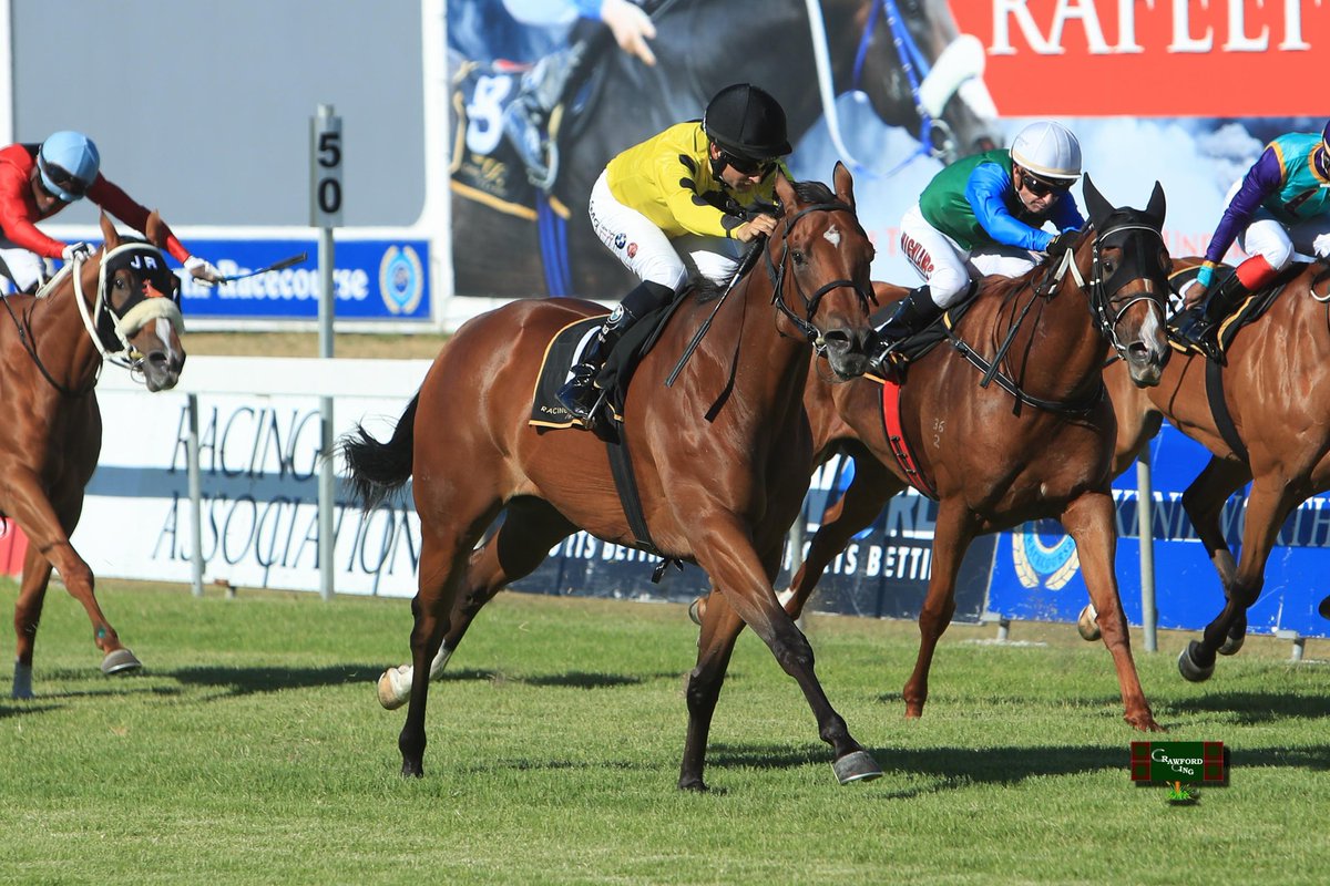 bcrawfordracing's tweet photo. Spending Spree takes her tally to 3wins for a group of amazing women. Thank you for your support and patience! Another top ride by @CorneOrffer. #crawfordracing https://t.co/Yl9996fhRn