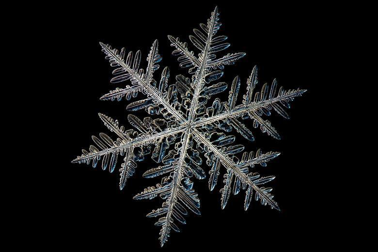 WChamberND's tweet photo. Snowflakes https://t.co/Pkod5MG53I https://t.co/KTzkOB7fYA