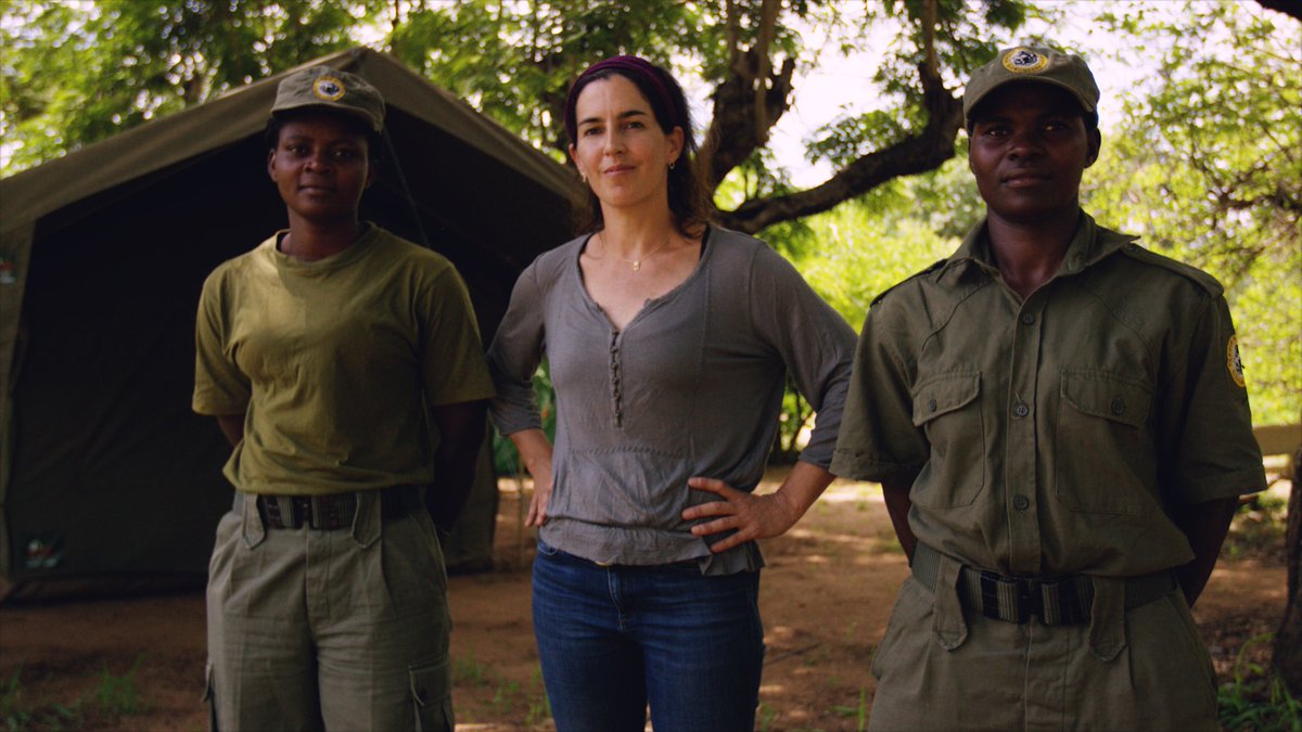 "We hope this film will help inspire educators to teach their students the power of thinking globally." 
- #BigCats finalist, "Nat Geo Inspires: Collecting Data to Save Gorongosa's Lions." Full interview: jhfestival.org/blog/five-ques…