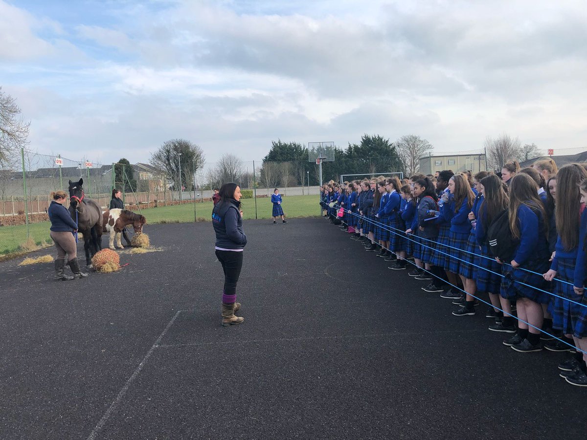 We were delighted to welcome Ability Equine Assisted Therapy to the school on Friday to speak with our 1st years. They offer unique equine therapies that aim to enhance the quality of life for children & adults with physical, emotional and cognitive difficulties 🐎😊👍 @ceist1
