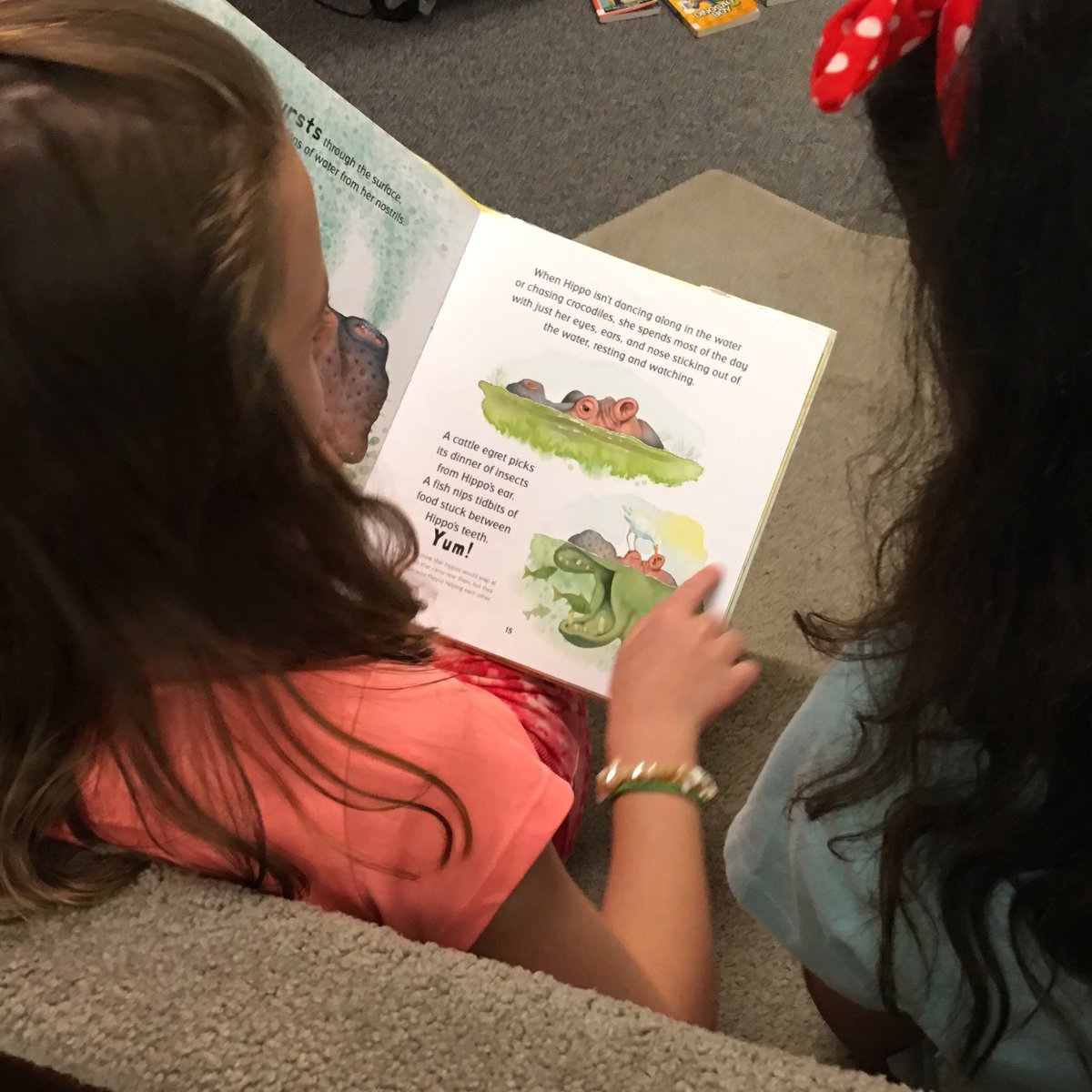 LibLaura5's tweet photo. 4th graders gearing up for #StaroftheNorth voting soon #myras18 @MNYouthRead #623Reads #623Learns https://t.co/onN4GSY2DE